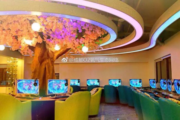 成都最佳时段去品茗指南